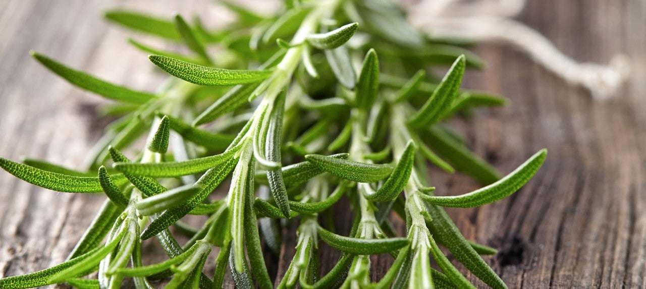 Rosemary 670x300