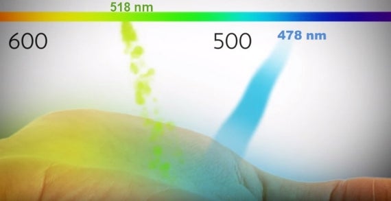 palm-with-lights palm-with-lights